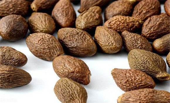 胖大海有潤腸燥、通大便的功效