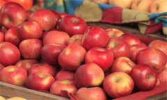 怎樣窖貯蘋果？介紹蘋果儲存方法