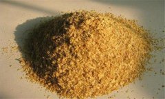 麥麩子是什么東西，麥麩喂羊有什么好處？