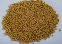 為什么要使用乳豬教槽料？乳豬如何飼喂教槽料