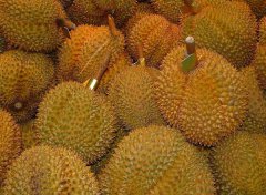 榴蓮的產(chǎn)地有哪些地方？