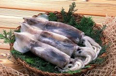 魷魚的營(yíng)養(yǎng)價(jià)值與功效