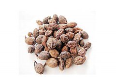 草果是什么？