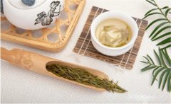 飲茶能治頭痛嗎？關(guān)于飲茶治頭痛的記載