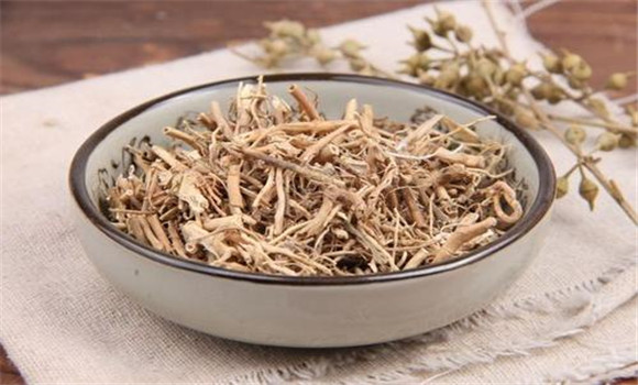 白前用法，用量與禁忌