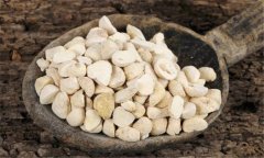 半夏應(yīng)用于哪些病癥，其用法用量如何