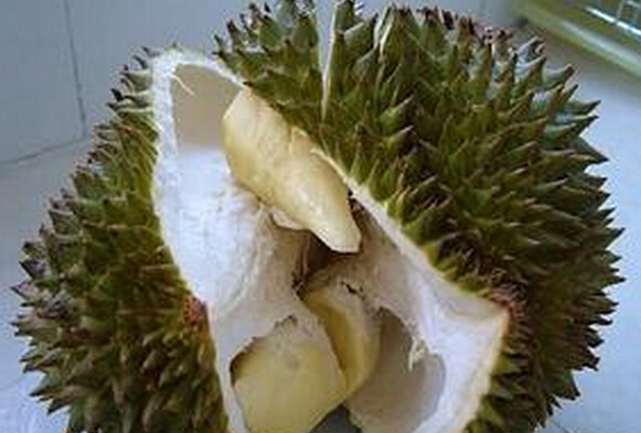 榴蓮怎樣催熟 催熟榴蓮的方法技巧 榴蓮種植方法