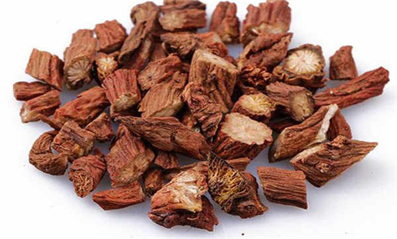 丹參的用法、用量與禁忌