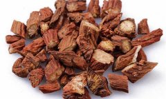 丹參的性能、主治、臨床應(yīng)用及用藥注意事項(xiàng)