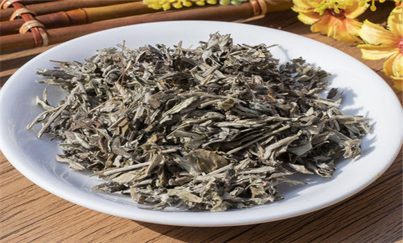 艾葉的用法、用量與禁忌