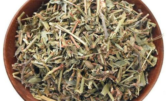 萹蓄的用法、用量與禁忌