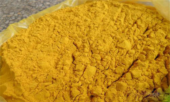 蒲黃的用法、用量與禁忌