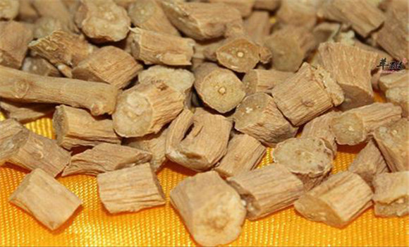 牛膝的用法，用量與禁忌