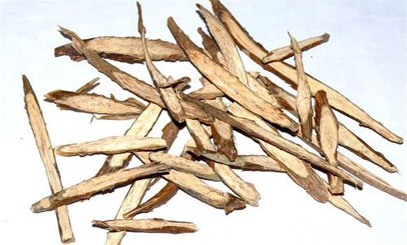 常山的用法、用量與禁忌