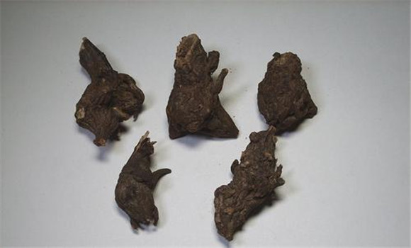 川烏的用法、用量與禁忌