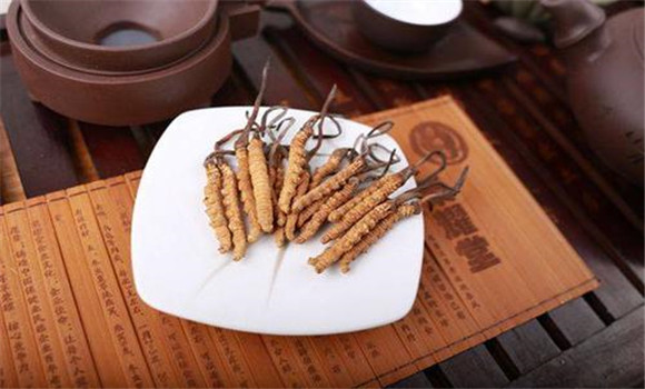 食用冬蟲(chóng)夏草的注意事項(xiàng)