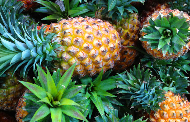 菠蘿的營養(yǎng)價值 吃菠蘿的好處 菠蘿的功效與作用