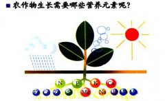 作物三大營養(yǎng)元素是什么 農作物必須的營養(yǎng)元素