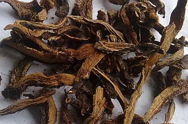 骨碎補(bǔ)的功效與作用