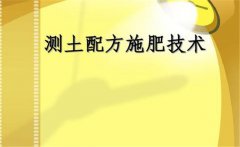 什么是測土配方施肥，測土配方施肥的基本要求