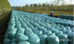 青貯飼料的調(diào)制方法、技術(shù)要點(diǎn)與注意事項(xiàng)