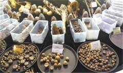 怎樣安全貯存蔬菜種子？蔬菜種子知識(shí)