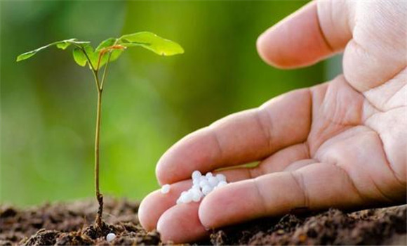 目前生物有機復(fù)合肥料使用中存在的問題