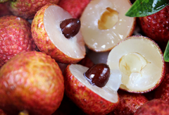 荔枝核能吃嗎? 荔枝核的功效與作用