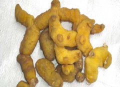 黃精的產(chǎn)地有哪些？