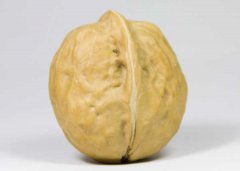 核桃的功效與作用有哪些，吃核桃有什么好處？