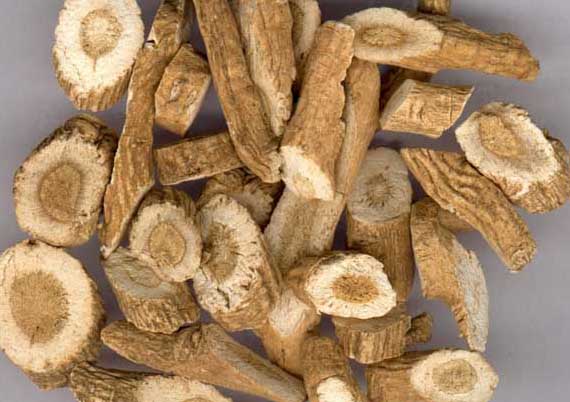 白芷的美容功效 白芷的功效與作用