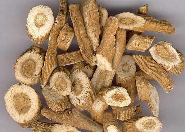 板藍(lán)根的功效與作用