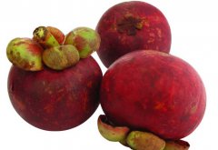 孕婦能吃山竹嗎？有哪些需注意事項(xiàng)