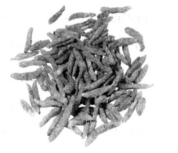 麥門冬的功效與藥用驗(yàn)方 麥門冬的功效與作用