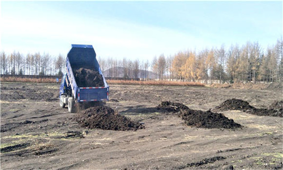 棉花田間管理技術(shù)要點、管理內(nèi)容及具體措施