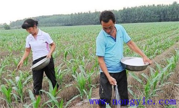 氮、磷、鉀肥配合施用