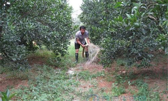 加強水分管理，防洪抗旱