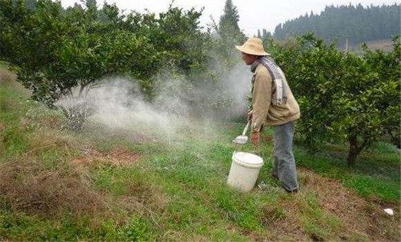 防好病蟲，保護葉片
