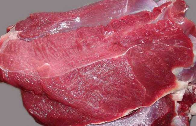 梅花鹿肉的營(yíng)養(yǎng)價(jià)值及食用功效 梅花鹿的功效與作用