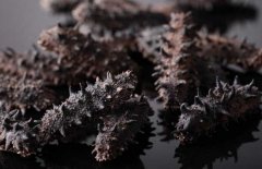 人造海參如何鑒別？人造海參的危害有哪些？