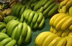 香蕉不能和什么一起吃？