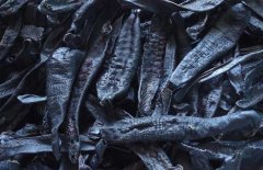 什么是清水貨水蛭，什么是礬水貨水蛭？