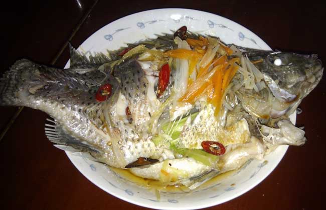 羅非魚的做法大全 羅非魚的功效與作用