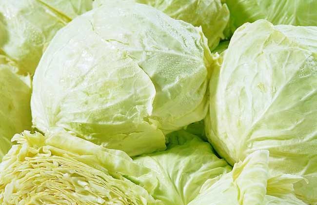 涼拌卷心菜的做法 卷心菜的功效與作用