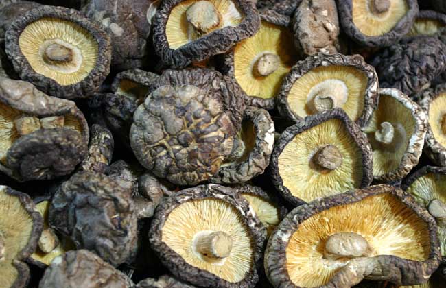 香菇多少錢(qián)一斤