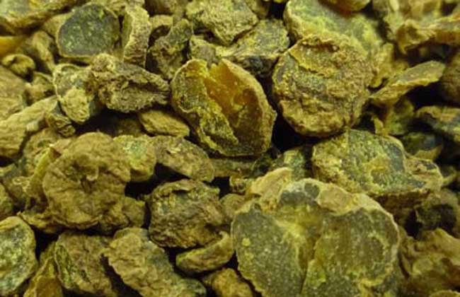 醋延胡索的功效與作用 延胡索的功效與作用