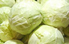 卷心菜能減肥嗎？
