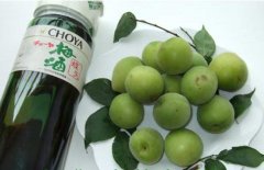 怎樣自制梅子酒？介紹梅子酒的做法