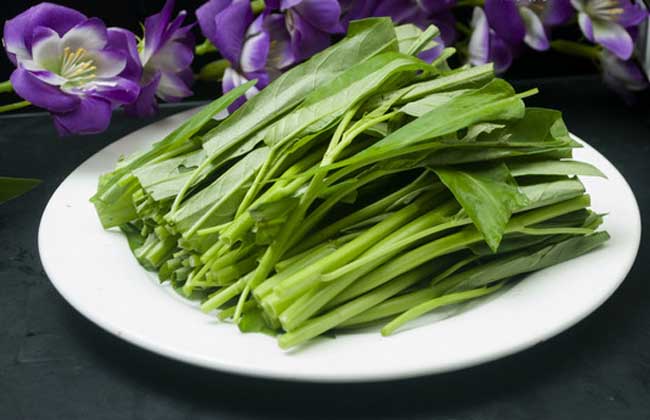 空心菜的葉子能吃嗎 空心菜的營(yíng)養(yǎng)價(jià)值