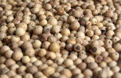 中國胡椒的產(chǎn)地在哪里？胡椒的市場參考價(jià)格